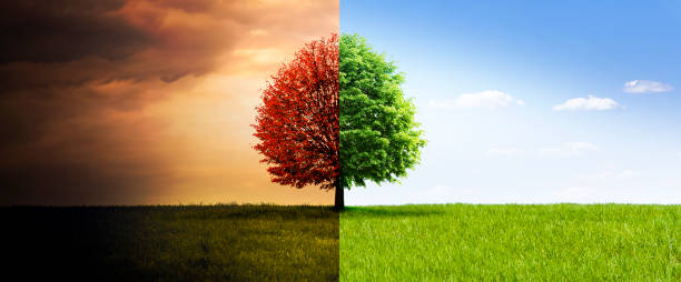 istock Climate change from drought to fertile landscape 1483812016