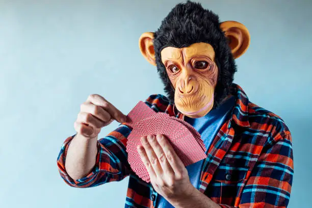 Photo of Man wearing monkey mask and holding poker playing cards on blue background.