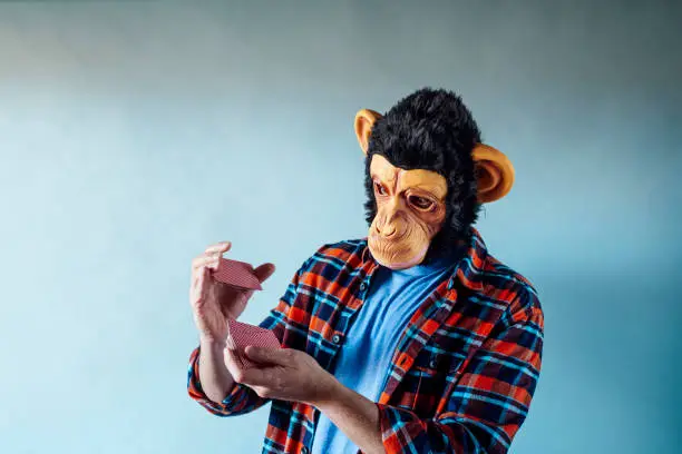 Photo of Man wearing monkey mask and holding poker playing cards on blue background.