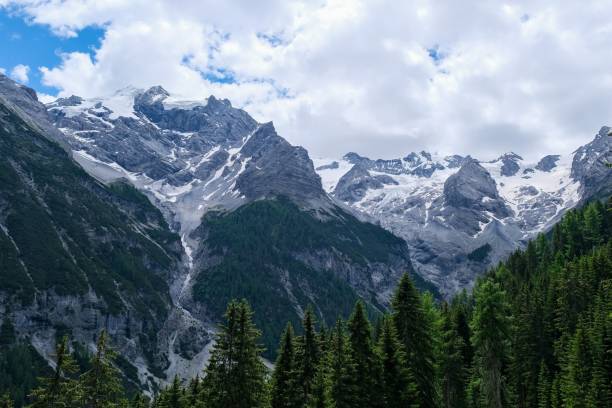 istock Scenic view of a lush pine tree forest with a snow-capped mountain range in the background, Italy. 1483813521