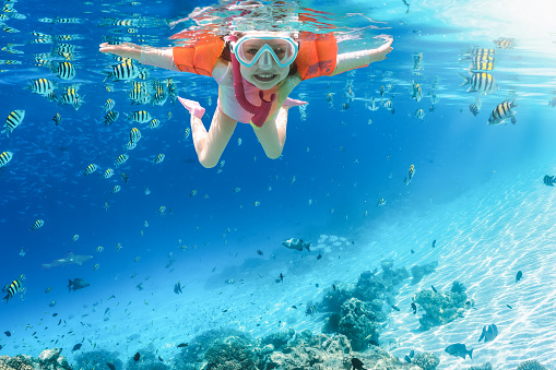 A happy, little girl with water wings snorkeling in the tropical, blue sea with colorful fish, Indian Ocean, Maldives islands