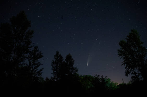 istock comet NEOWISE between trees view outside the city 1483815395
