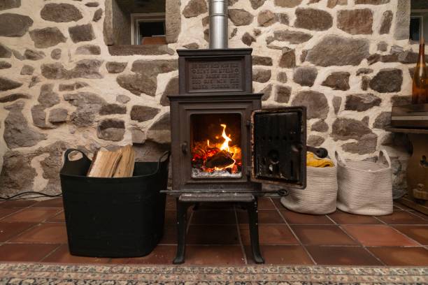 istock Wood Burning in Metal Fireplace 1483816267