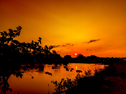 panoramic view of the orange and purple sunset sky on the lake, and black tree silhouettes
