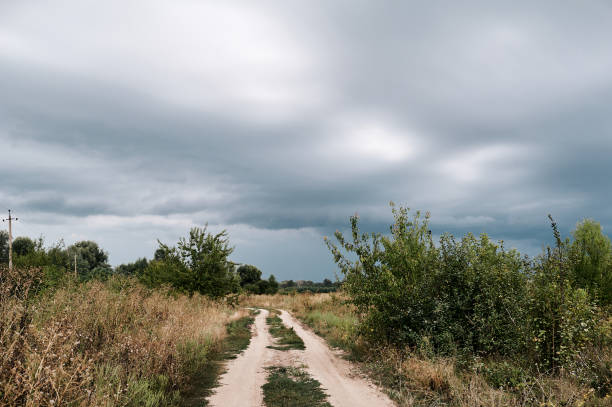 strada di campagna sterrata nei campi, tempo nuvoloso prima della pioggia - cloud cloudscape color image cypress tree foto e immagini stock