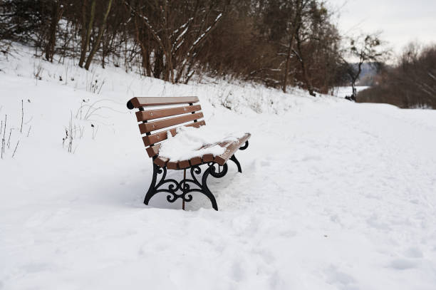istock Snow-covered bench in the forest in winter 1483818212