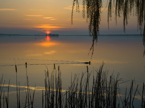 Camera: Hasselblad X2D, 100 MP-Sensor / Location: Lake Steinhuder Meer, Lower Saxony, Germany.