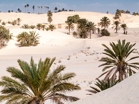 Desert landscape of dunes in Douz,Tunisia