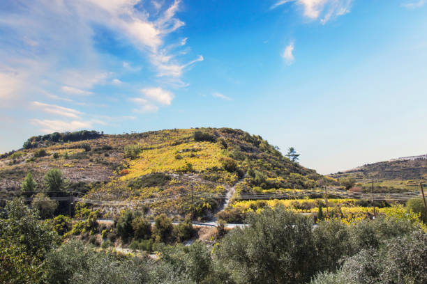 istock Beautiful view of the grape terraces 1483828391