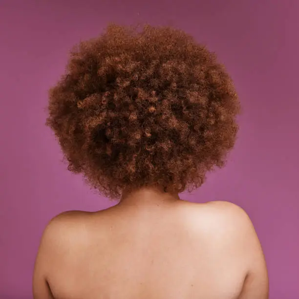 Rear view, black woman and afro of hair in studio for ethnic texture, headshot and pink background. Back of african model, curly haircare cosmetics and beauty for skincare, scalp and salon shampoo