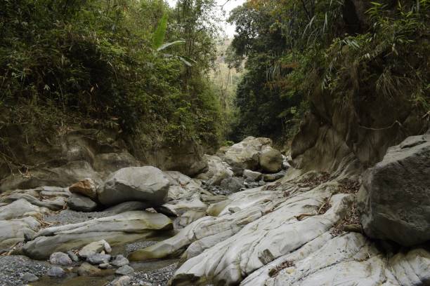 istock smoothed boulders on the river bed curved by rapids surrounded by dense jungle 1483832675