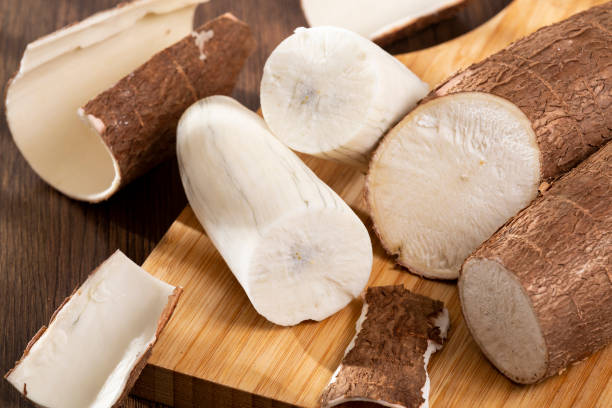 istock Fresh Organic Cassava Root - Manioc Esculenta; On White Background 1483838705