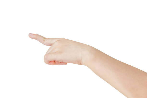istock Kid hand touching or pointing to something isolated on white background 1483839958