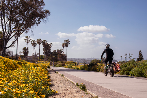 Spring flowers blooming in Cardiff-by-the-sea, San Diego, California, April 19, 2023. Coastal Rail trail.