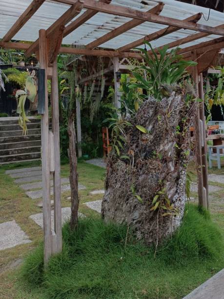 istock Home axterior decor with tropical plants 1483840858