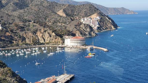 istock Top of the Island 1483842421
