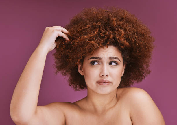woman stress, hair loss or afro on beauty studio background in grooming, texture anxiety or fail. model, hand or natural hairstyle with damage, split ends or frizzy knot on isolated skincare backdrop - frizzy human hair fashion model african ethnicity imagens e fotografias de stock