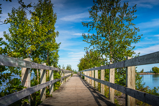 wooden footbridge over a lake