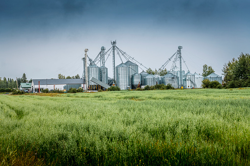 Industrial buildings and manufacturing equipment near an agricultural field. Elevator