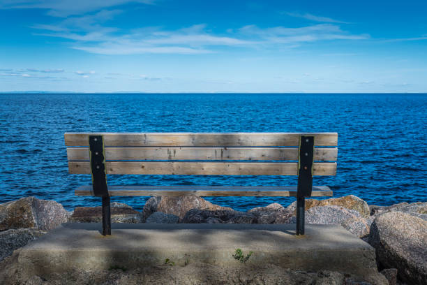 Bench overlooking a harbor on a cloudy day.