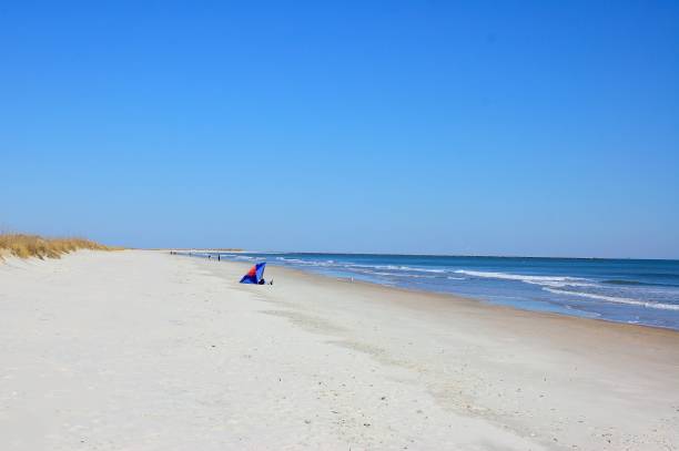 istock Huntington Beach State Park Vista 1483864511