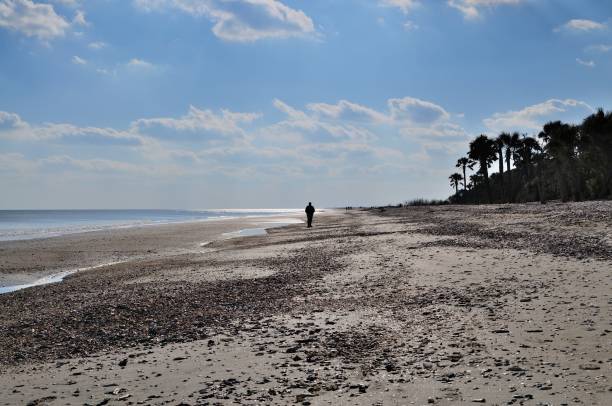 istock Winter Walk on South Carolina Beach 1483865320