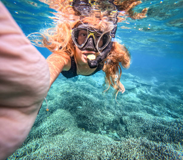 istock Underwater Woman Snorkeling in Ocean 1483866495