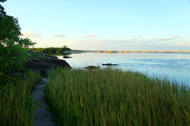istock High grass on coastline and blue lake 1483868819