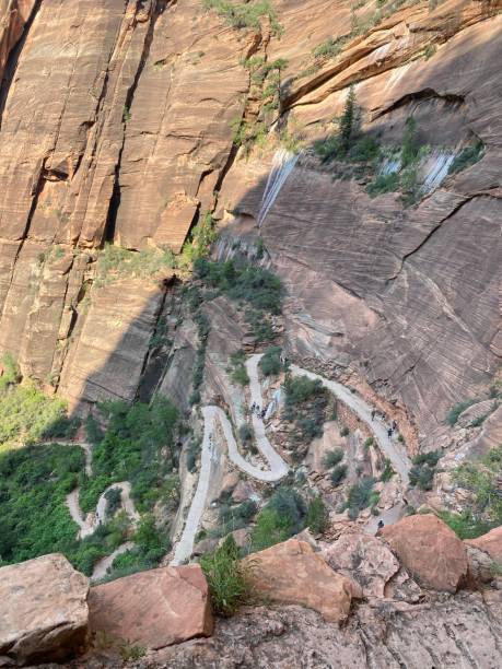 istock Scout’s Lookout Zion Hike Switchbacks 1483868834