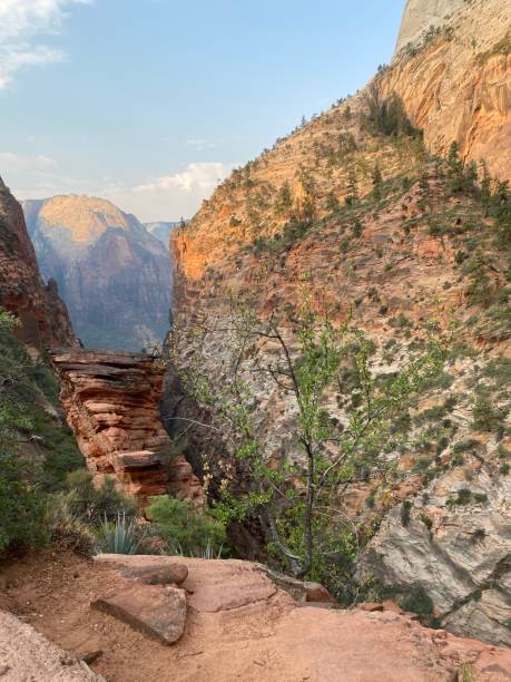 istock Scout’s Lookout Zion Hike 1483868870