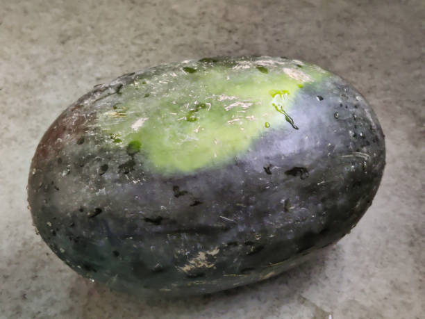 istock Picture of a green colored watermelon fruit 1483870427