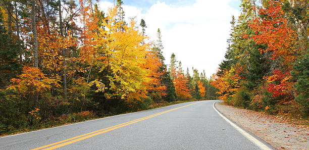 istock Maine road in autumn 148387306