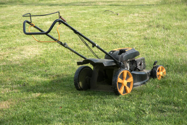 istock Motor lawn mower closeup 1483873476