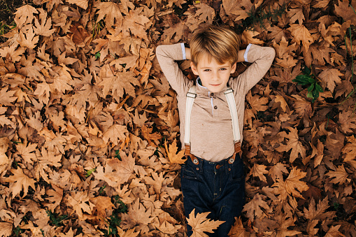 Sweet little boy lying in a forest full with dry maple leafs and looking at camera