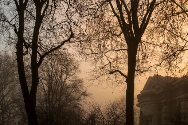 istock Misty Deptford Old church 1483875734