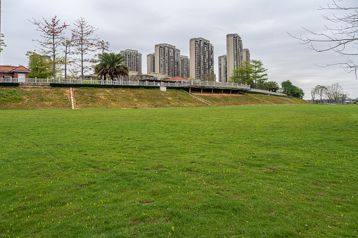 Grassland in the residential building park