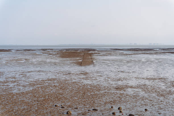istock Road in the sea 1483876079