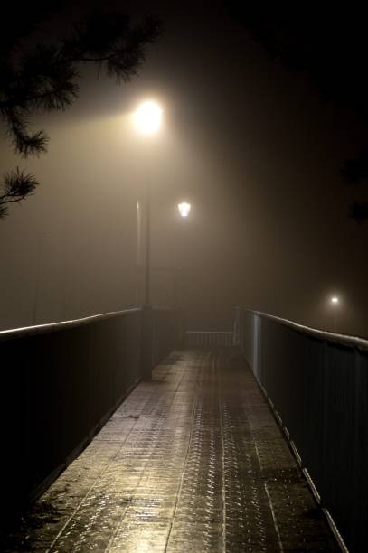 istock illuminated pedestrian bridge at night in the rain 1483880410