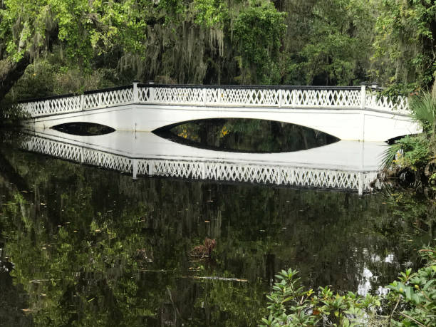 istock White bridge in Charleston, South Carolina 1483881340