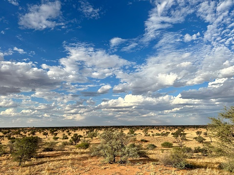 Beautiful desert landscape after summer rain
