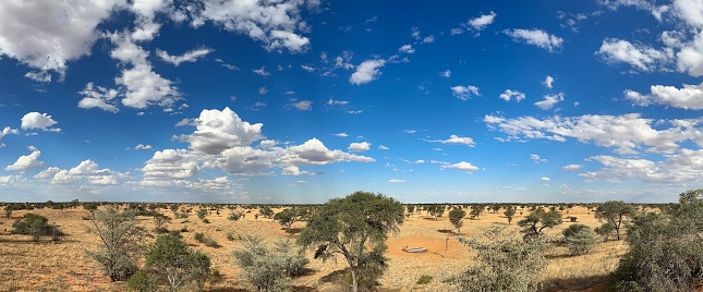 Beautiful desert landscape with blue sky white fluffy clouds green trees