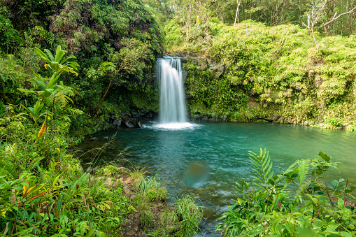 Gorgeous tropical landscapes with dense rainforests, waterfalls, rivers along the road to Hana, Maui, Hawaii, USA