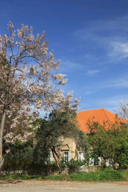 istock Lebanese House in Springtime 1483886975