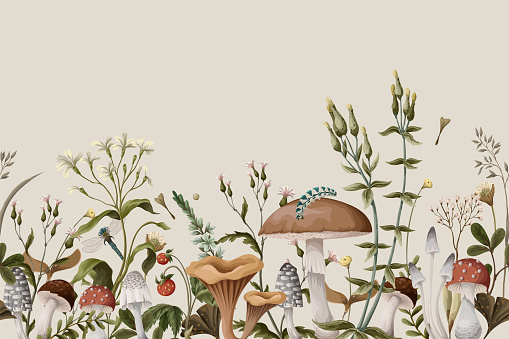 Autumn border with mushrooms, berries and bugs. Natural trendy print.