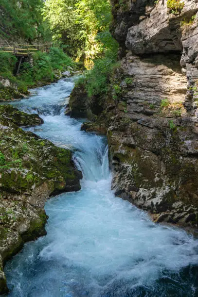 Photo of Vintgar gorge amazing cayon with river, rocks and nature, wooden foodpaths leads through wild natural reserve