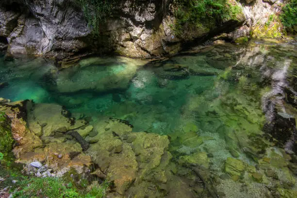 Photo of Vintgar gorge amazing cayon with river, rocks and nature, wooden foodpaths leads through wild natural reserve