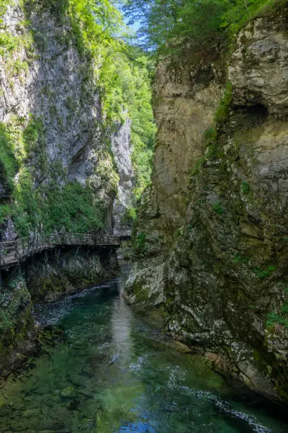 Photo of Vintgar gorge amazing cayon with river, rocks and nature, wooden foodpaths leads through wild natural reserve