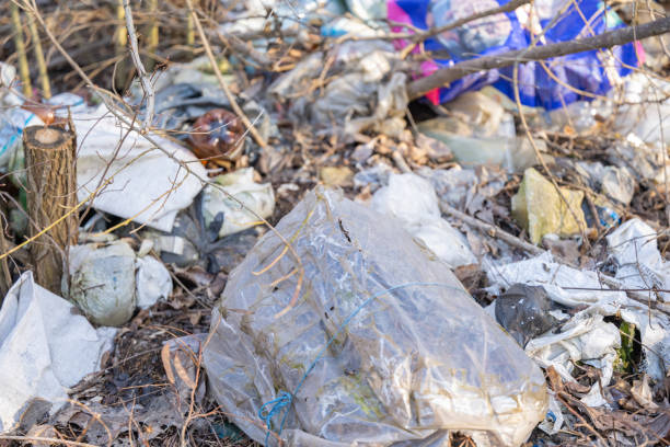 istock a lot of garbage in the forest 1483892450