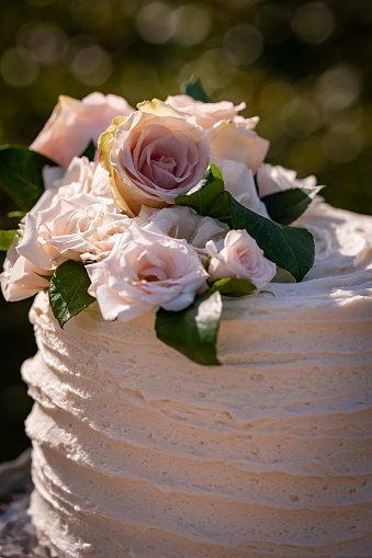 A simple yet elegant wedding cake, frosted with white textured icing and topped with beautiful pink and white roses in a gorgeous outdoor Southern Utah setting.
