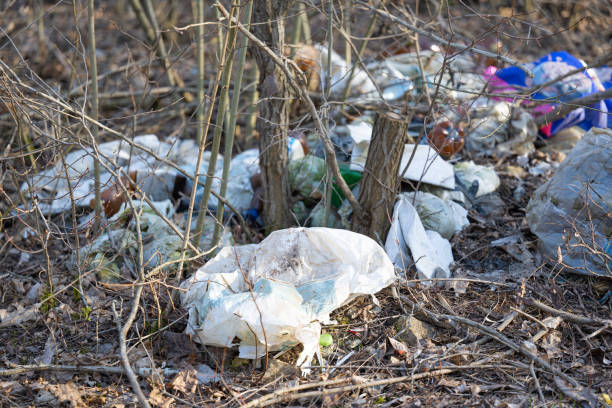 istock a lot of garbage in the forest 1483893482